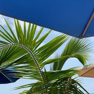 Meet your Posher, Celeste